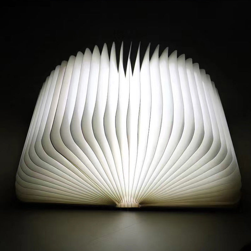 Smart Book Light