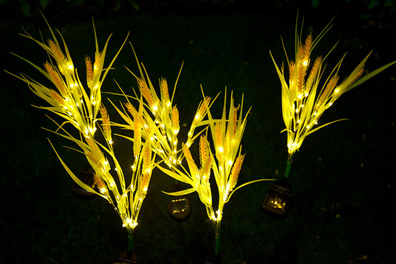 Solar Wheat Ears Pathway Light