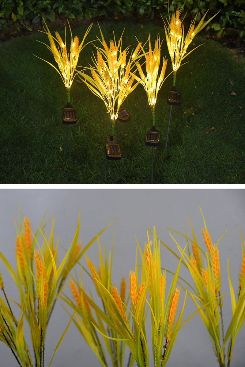 Solar Wheat Ears Pathway Light