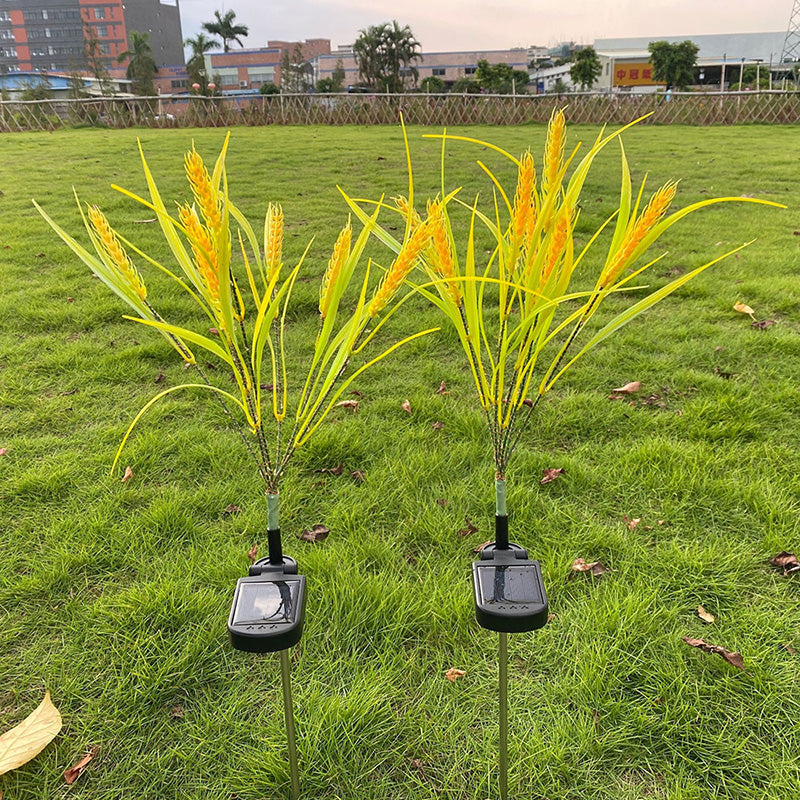 Solar Wheat Ears Pathway Light