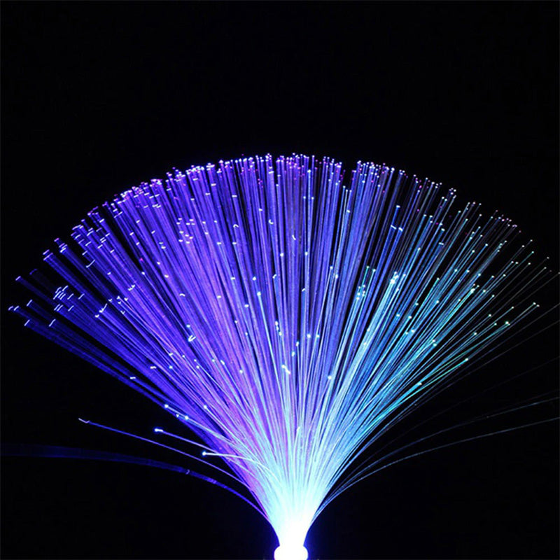 LED Fiber Optic Lights