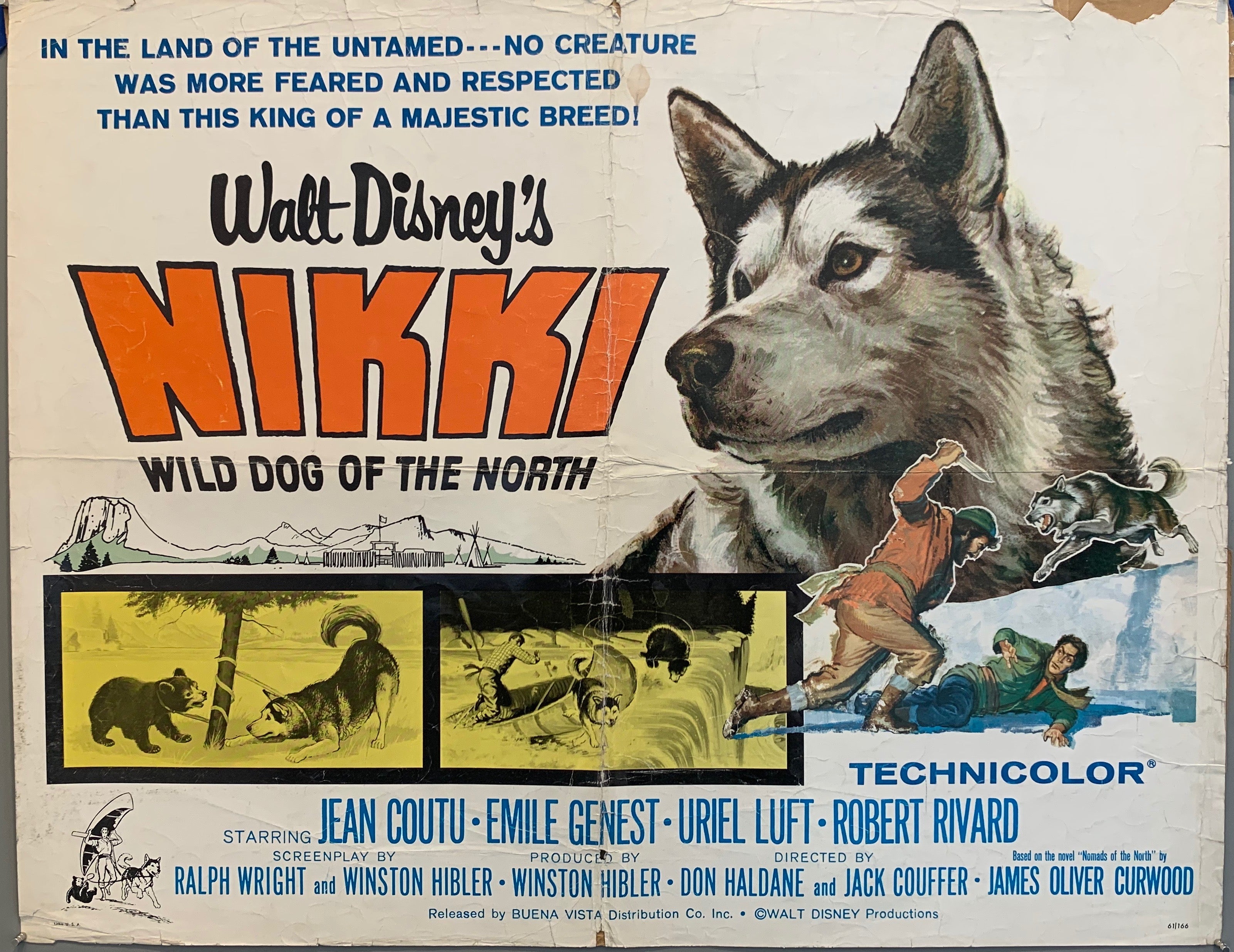 Nikki north. Nikki, Wild Dog of the North. Уолт Дисней дикий пес севера.