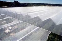 Horticultural Shade