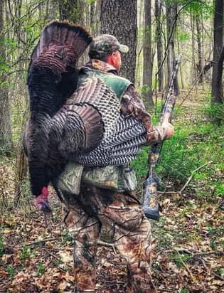 A hunter carrying a wild Turkey kill on his back