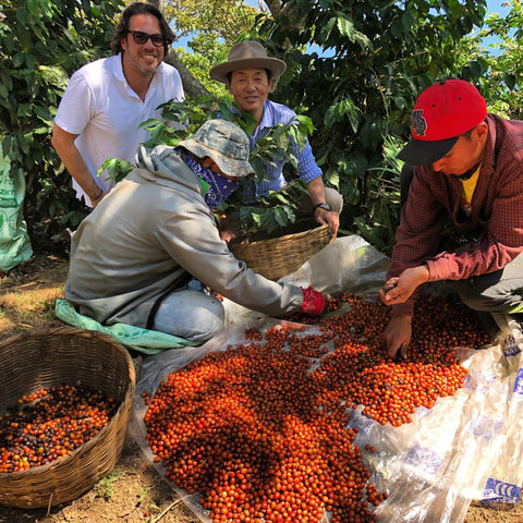 Finca San Luis is owned and operated by El Salvador native Ernesto Mathies, a fourth generation coffee producer.