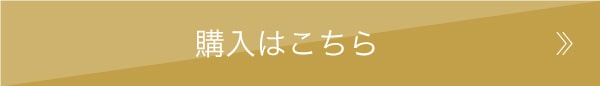 購入はこちら