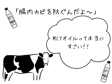 mctオイル 腸内カビ