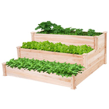 Load image into Gallery viewer, Solid Wood 4 Ft x 4 Ft Raised Garden Bed Planter 3-Tier
