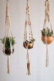 home zahahome design plants hanging