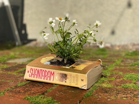 upcycled book planter