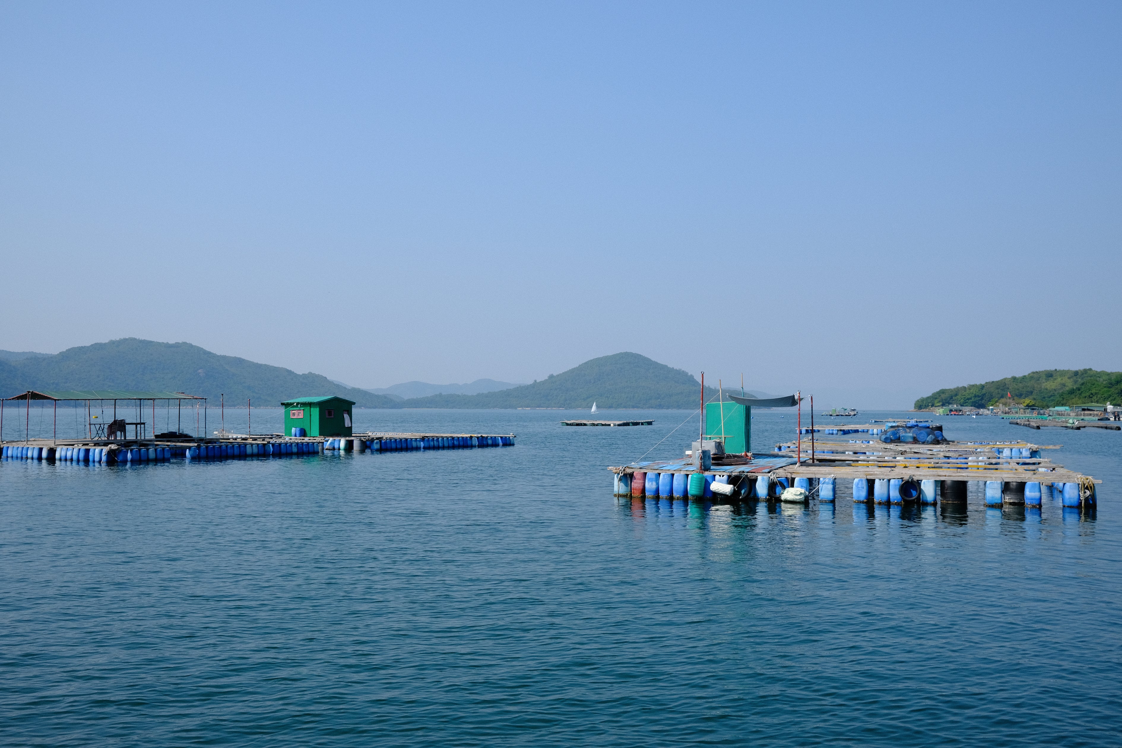 Surrounded by mountains, Sai Kung's Sham Wan fish farm has excellent environment and conditions, which is especially suitable for pearl farming.