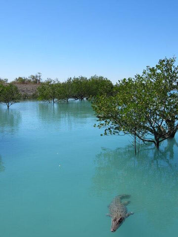 The wildlife and scenery is second only to the fishing.