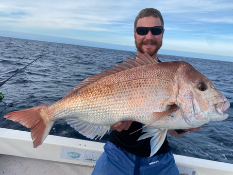 A quality Sydney 80cm snapper caught on the float by Dan Clay