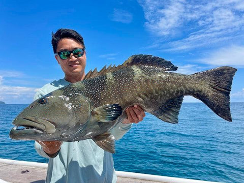 Coral Trout