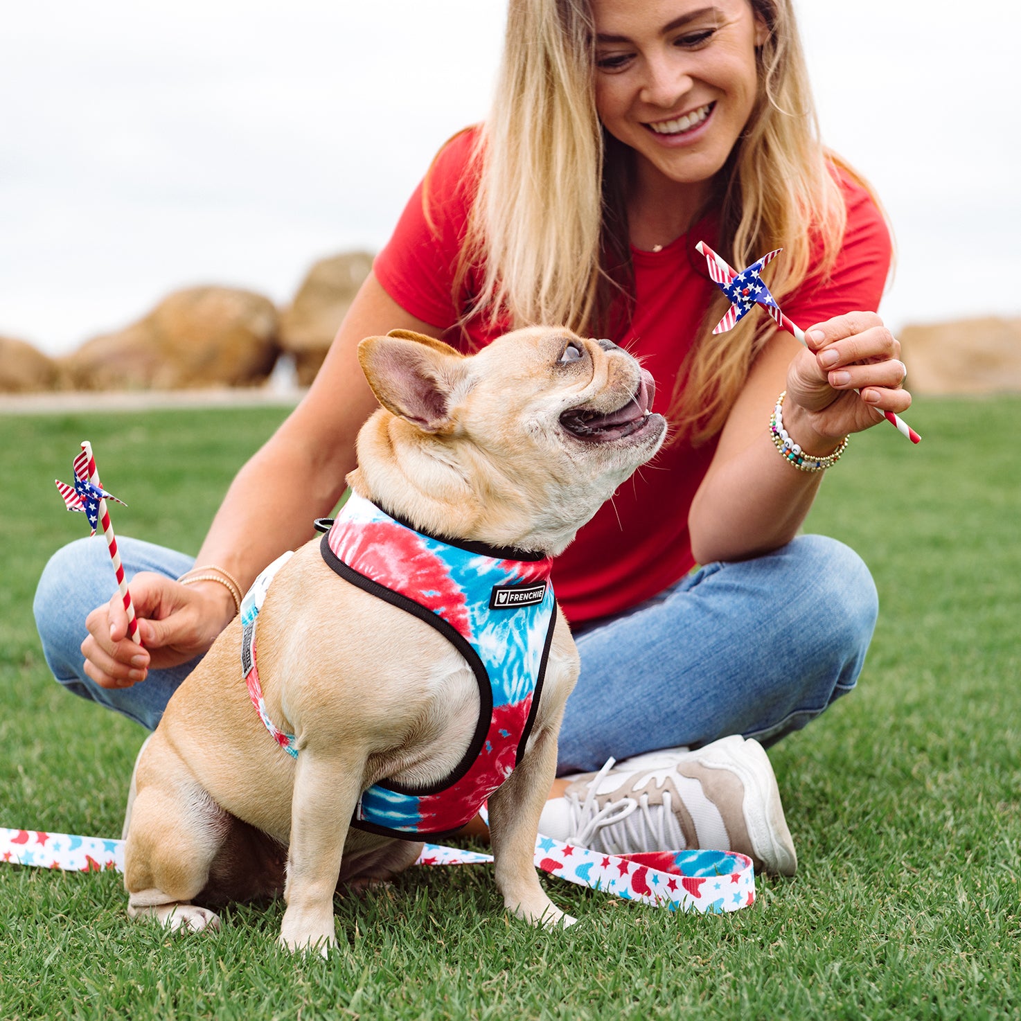 matching dog harness and leash