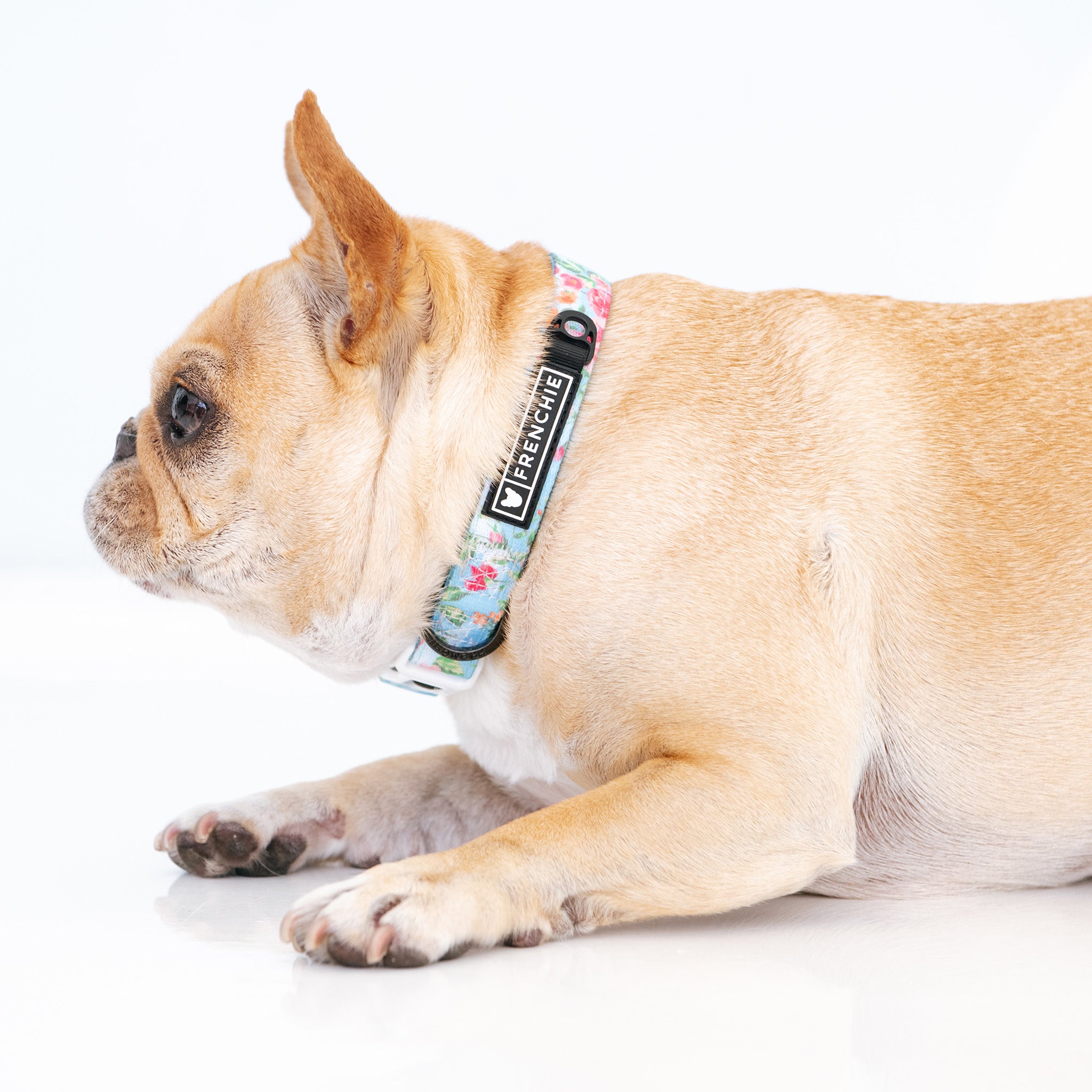 Frenchie Comfort Collar - Secret Garden-image-2