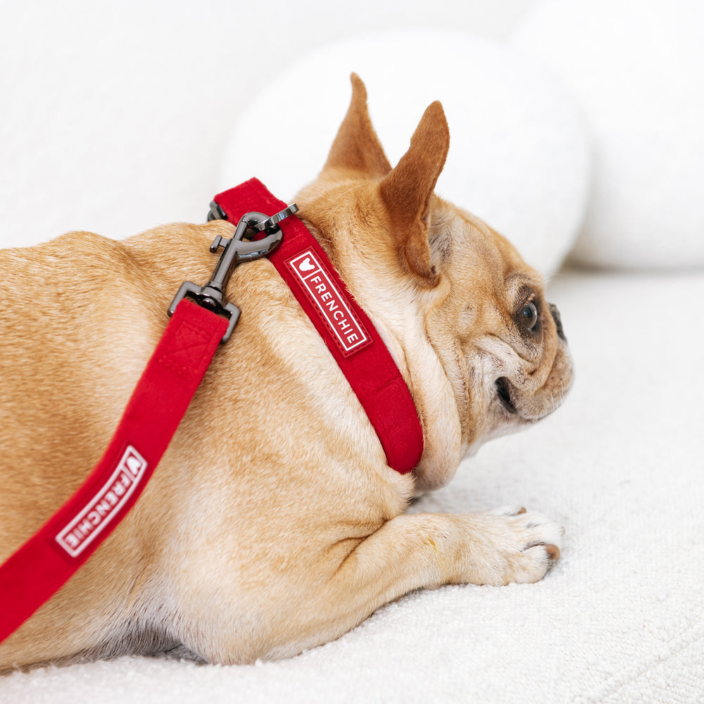 Signature Red Pupreme Dog Harness and Leash Set