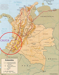 Cauca Region | Two Spots Coffee | Single Origin Coffee for sale