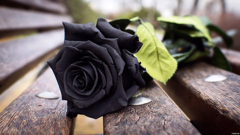 black roses