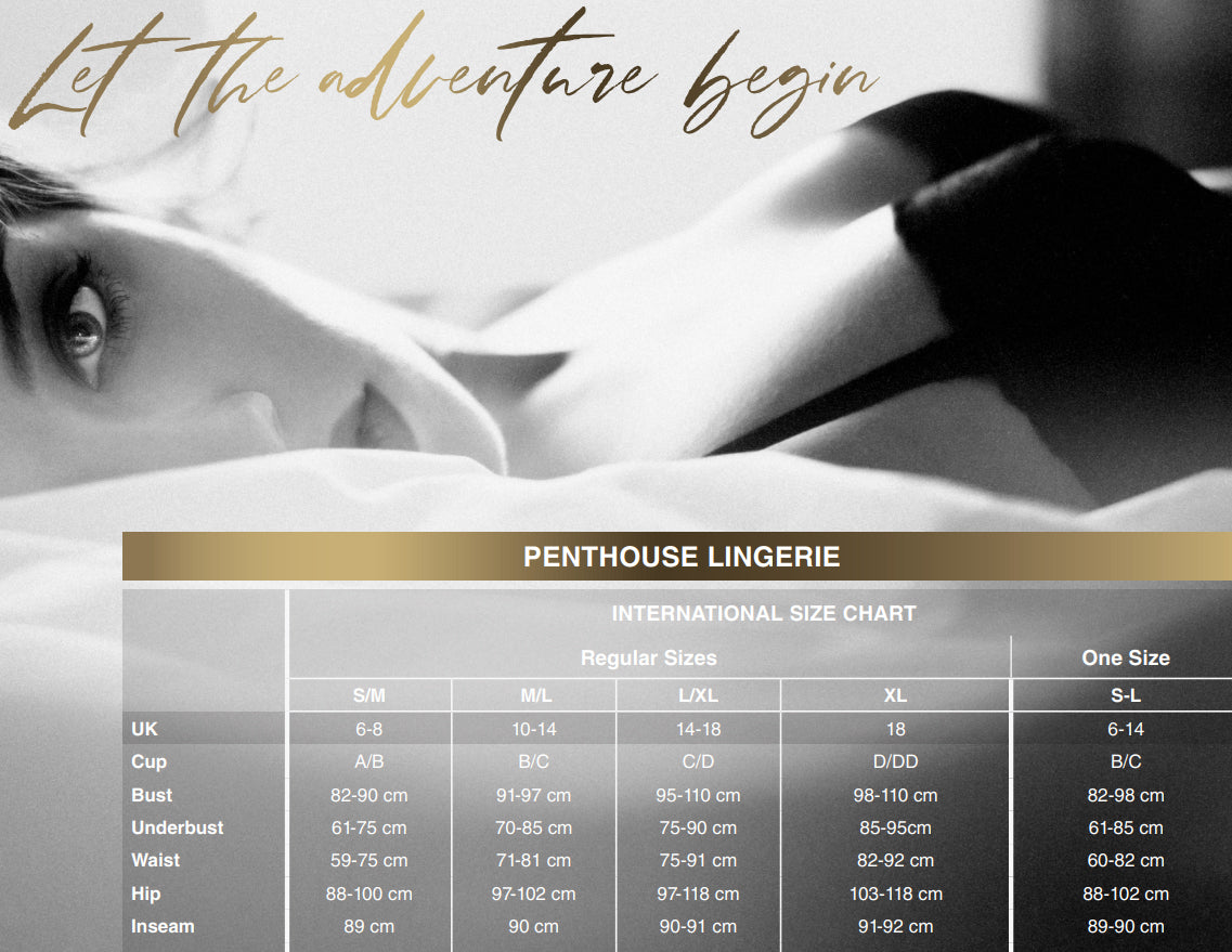 Penthouse Lingerie size chart – Sinsins Intimates