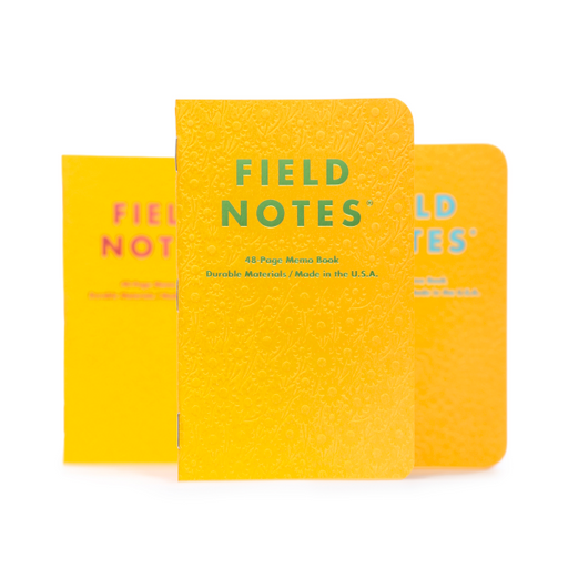 Field Notes Kraft Plus Memo Book 2 Pack, Aqua