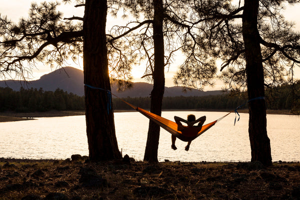 Silk Traveller techno tied between two trees with a man sitting in it.