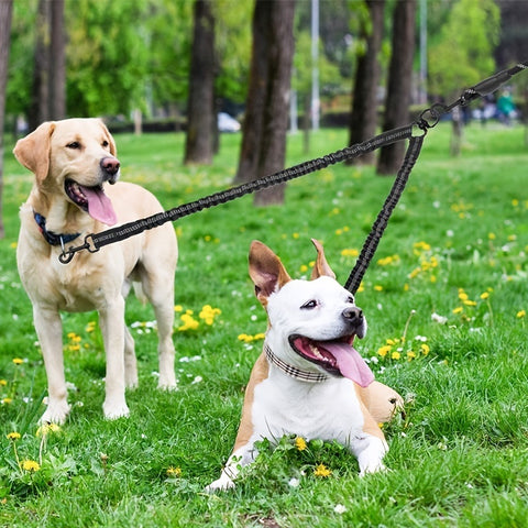 dog leashes and harness for large and small dogs. Raee Industries