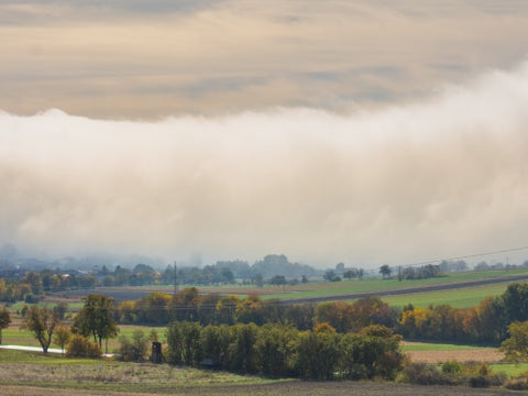 The Impact of Climate Change on Biodiversity and Ecosystems