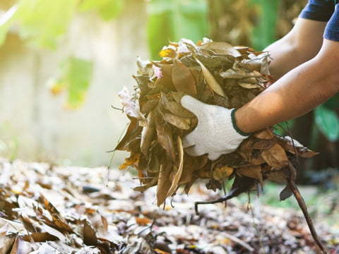 The Benefits of Composting: How to Get Started