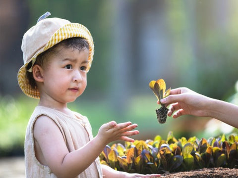 Great Strategies to Teach Your Child to Be Eco-Friendly