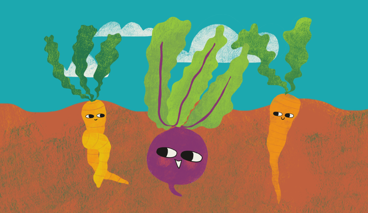 Sideview of illustrated root vegetable characters smiling at each other while still planted in the earth with their leaves and blue skies above ground.
