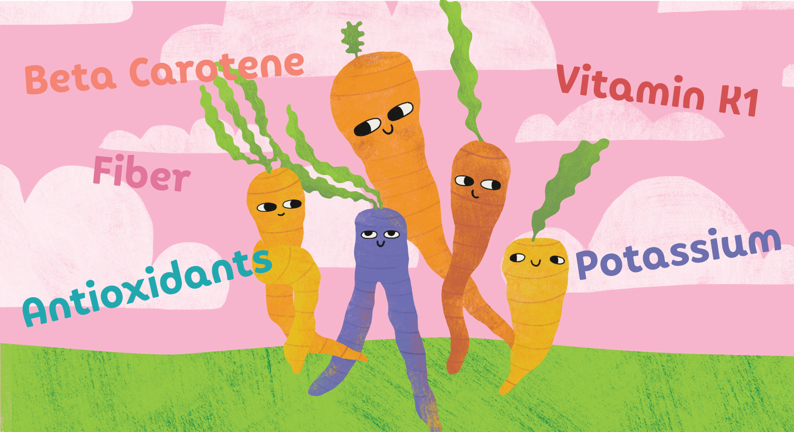 An illustrated graphic featuring colorful carrots with callouts to feature the benefits of carrots like antioxidants, potassium, vitamin k1, beta carotene, fiber