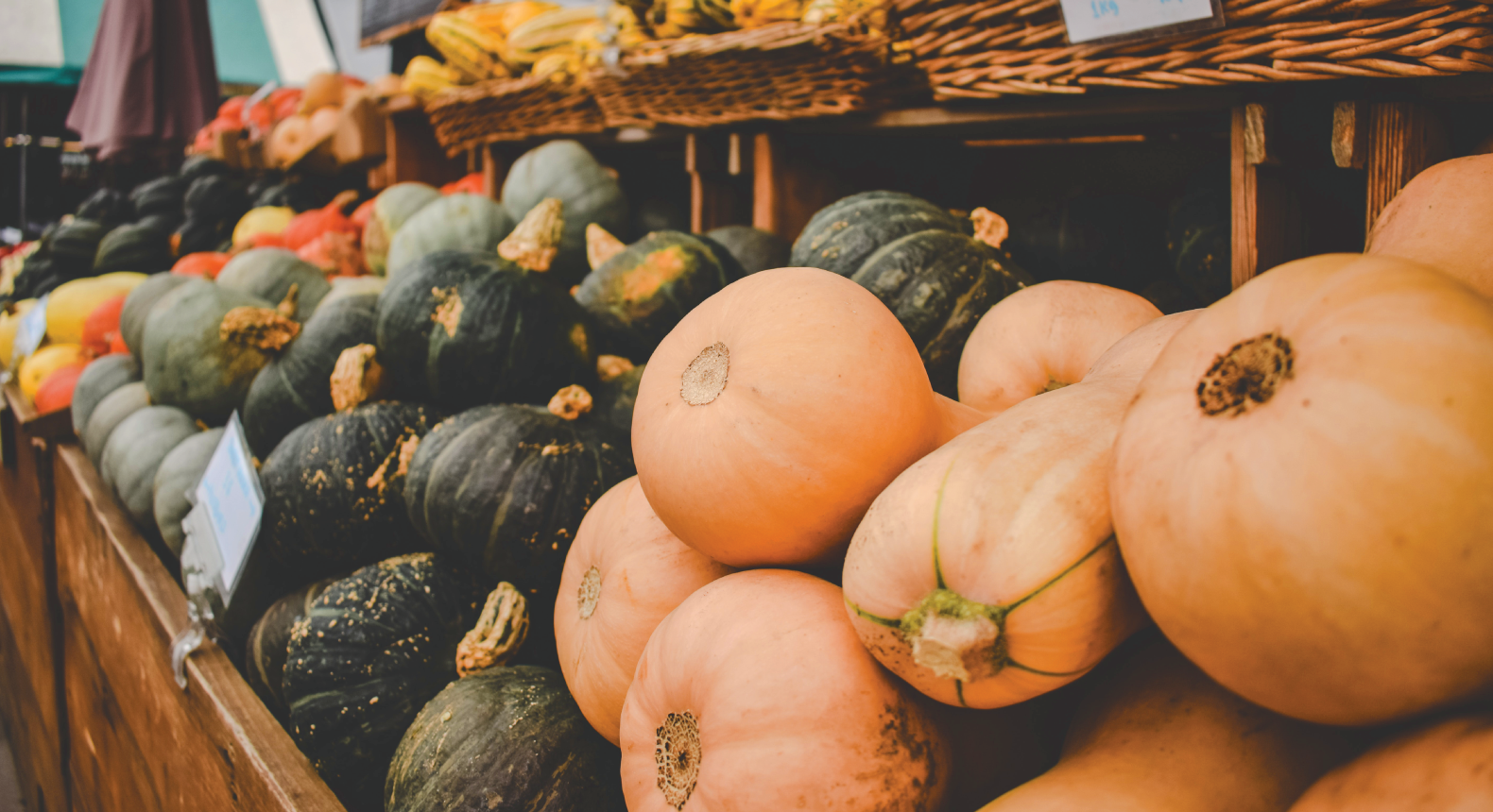 a variety of squash at an outdoor market