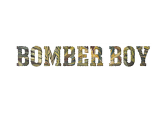Bomber Boy manga