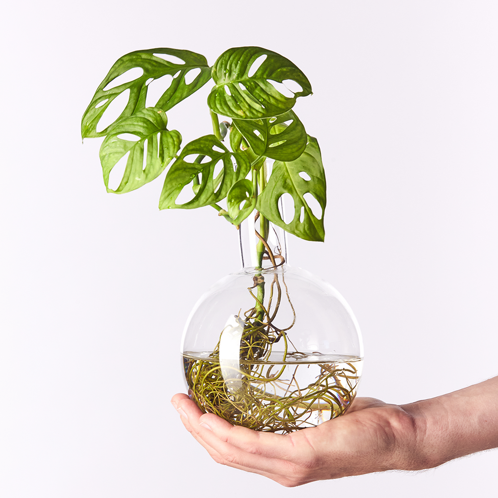 Plant Home Blumentopf aus Glas - Größe S mit elegantem Dreifuß - außergewöhnlich für Pflanzen in Hydrokultur