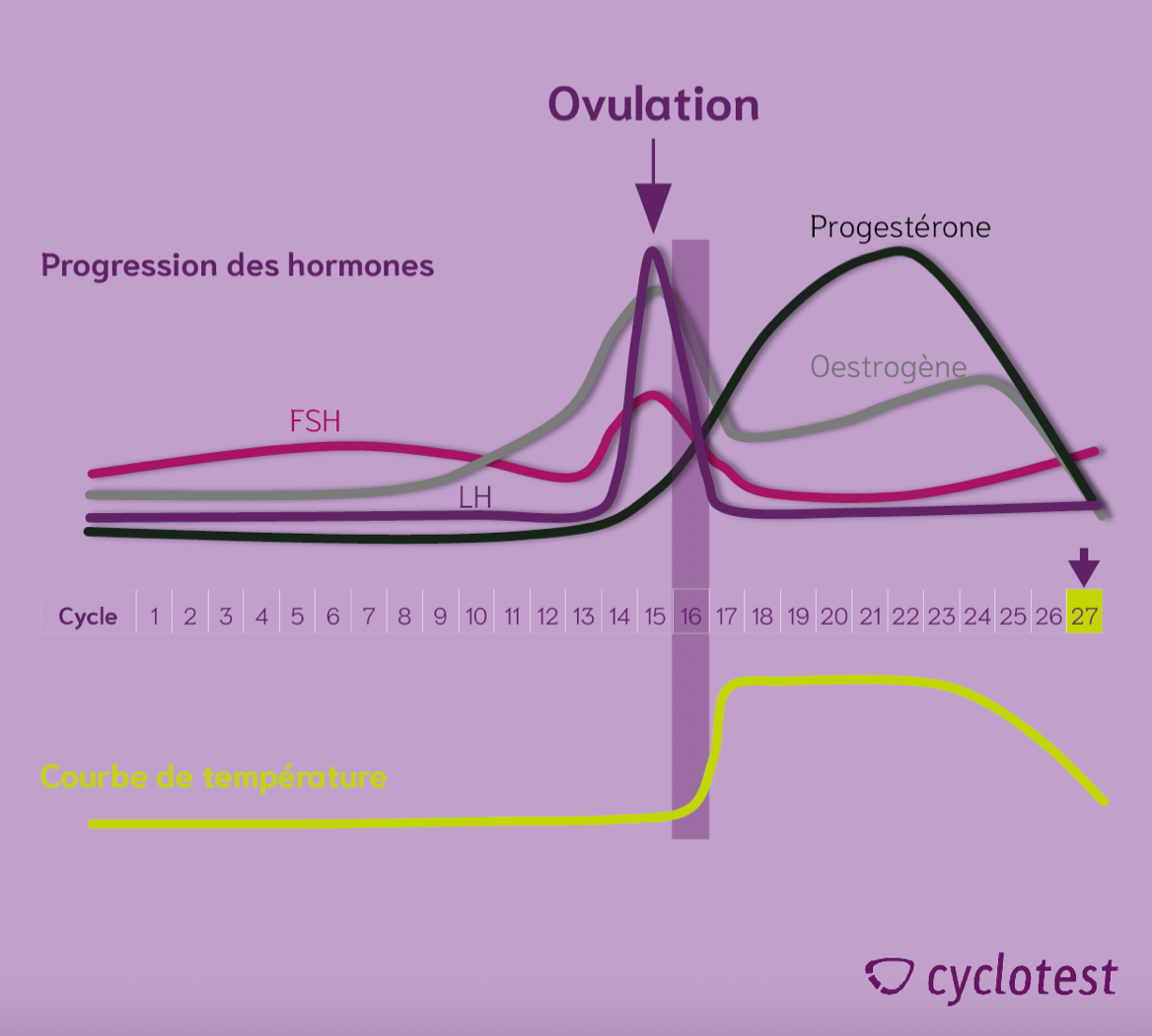 Pilule et SOPK : ce qu'il faut savoir !