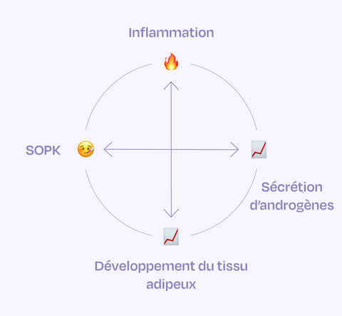 Schéma du cercle vicieux du SOPK
