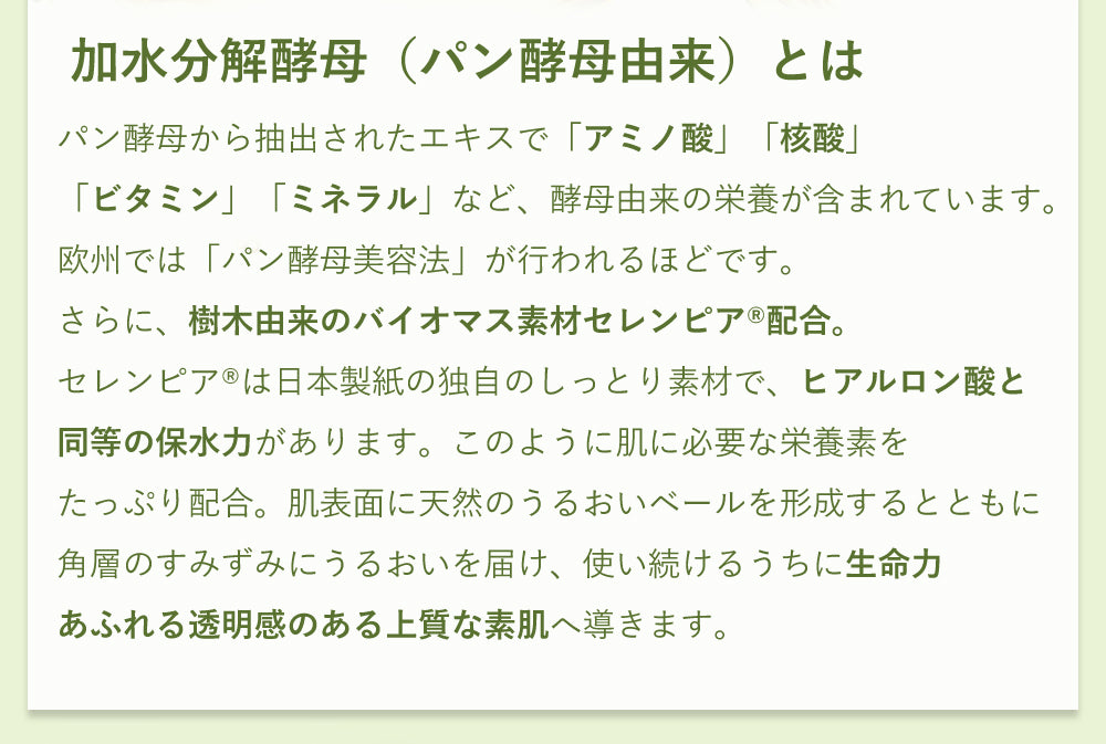 加水分解酵素（パン酵母由来）とは