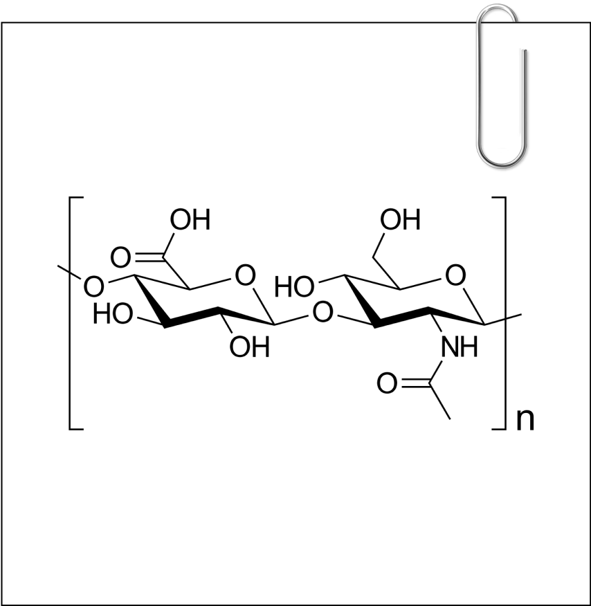 gluta-main-img