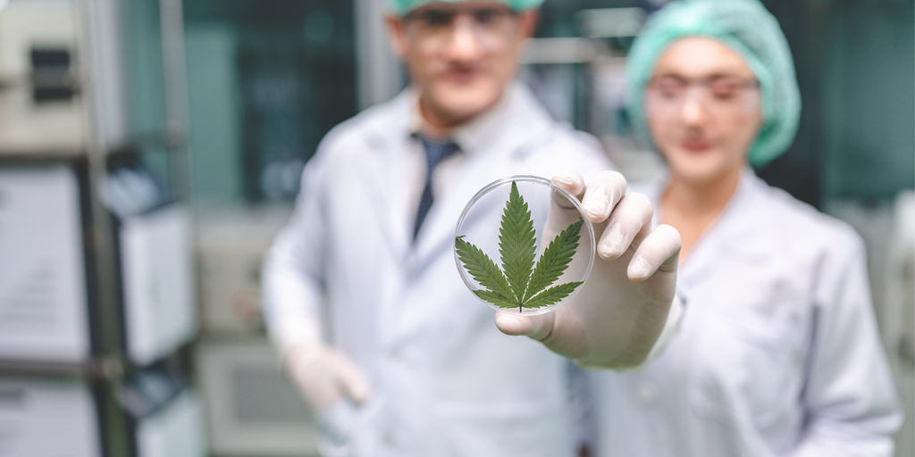 CBD and the science