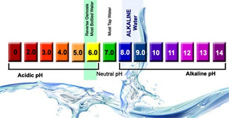 high ph water ph scale