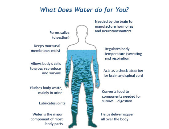 body water benefits