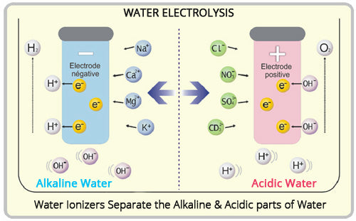 Alkaline Water Ionizers Electrolysis