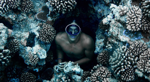 On plante du corail - Coral gardeners