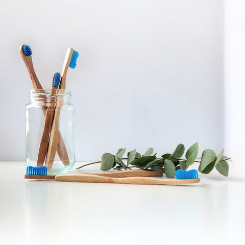 Bamboo toothbrushes with blue bristles in a mason jar with eucalyptus plant
