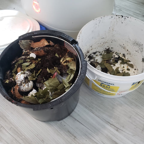 Black bucket containing coffee grounds, eggshells, onion skins, and other kitchen food scraps next to Lomi electric kitchen composter