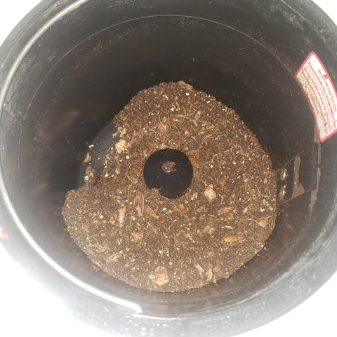 Black bucket containing brown dirt made of decomposed food scraps