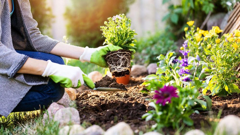 10 tips to get your garden ready