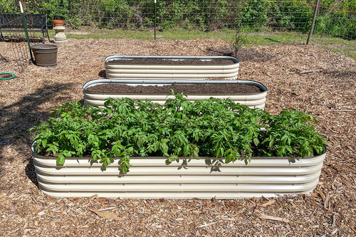 1200×800-raised-garden-bed-2.jpg__PID:d223e461-2833-48f2-8ced-194821eddaa4