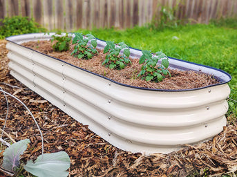 a white 8x2 planter box grow seedlings-Vegega